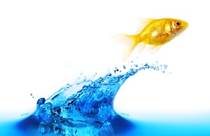 Web Designer Canada Water, Web Design